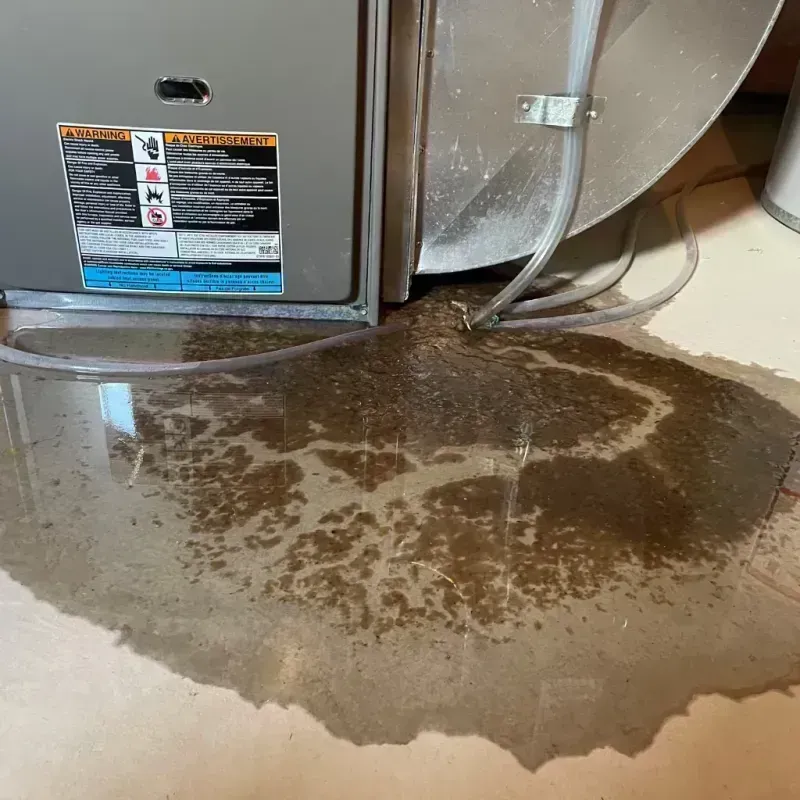 Appliance Leak Cleanup in Mason, TN